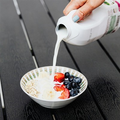 Which Is Better Stevioside Or Mogroside? Which Is Better Stevioside Or Mogroside?